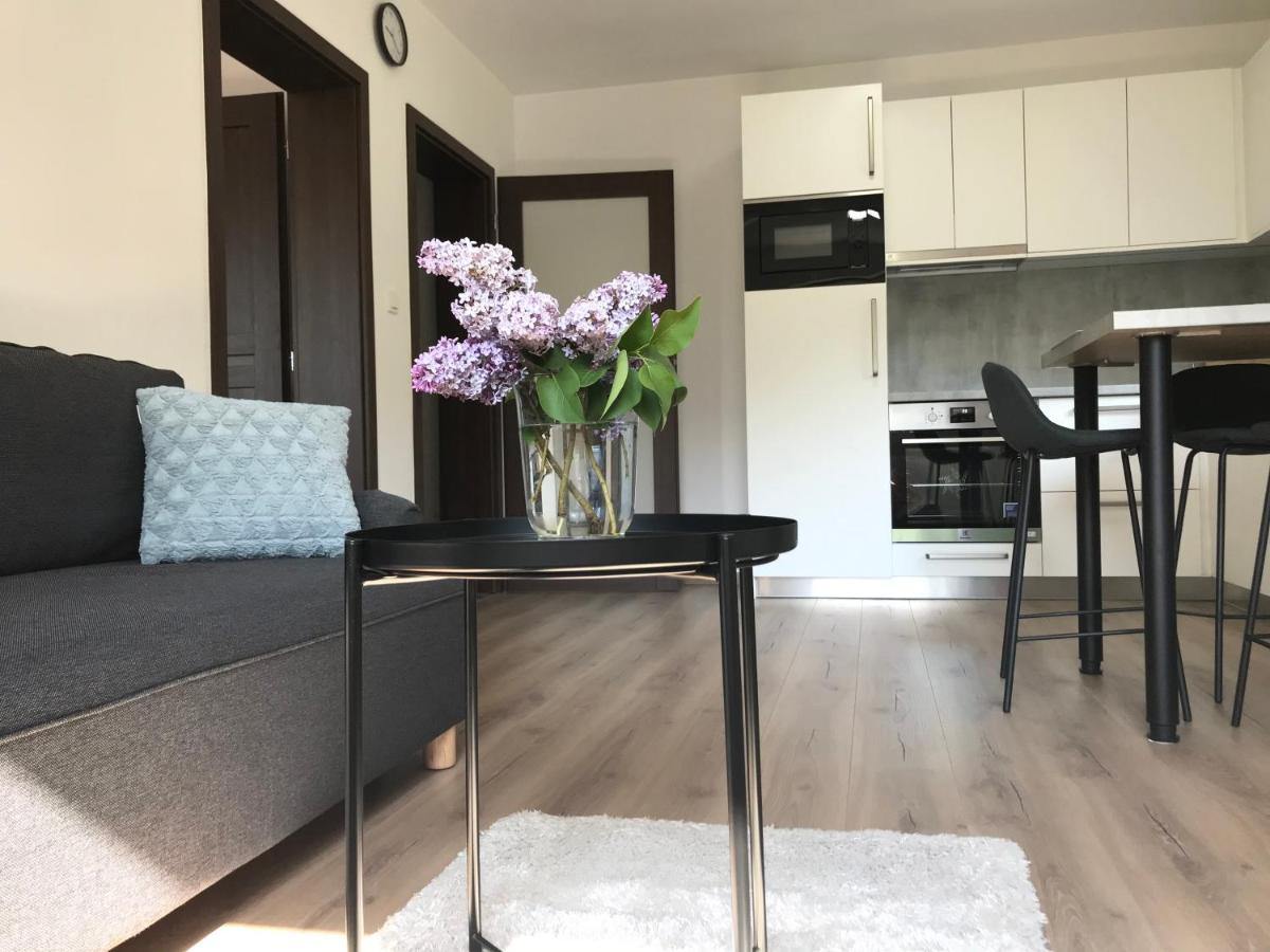 Apartman Na Kopci Krucemburk エクステリア 写真