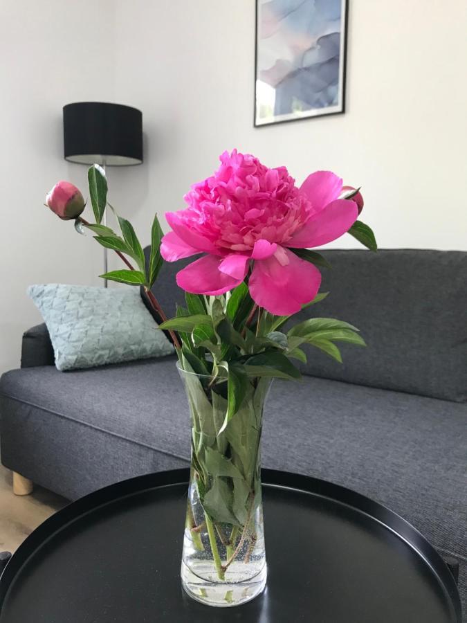 Apartman Na Kopci Krucemburk エクステリア 写真